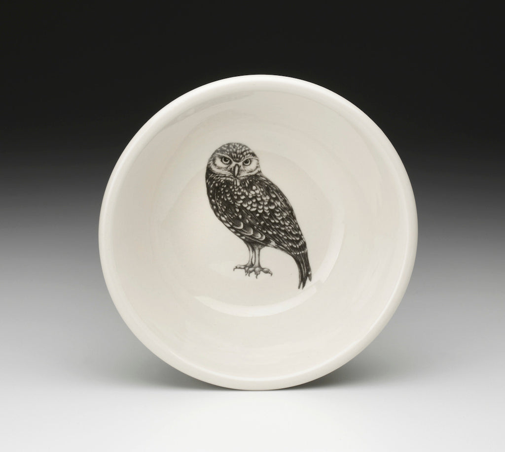 Sauce Bowl: Burrowing Owl